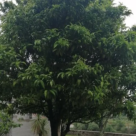 Σπίτι διακοπών Casa Independiente Grandes Grupos Y Familias *