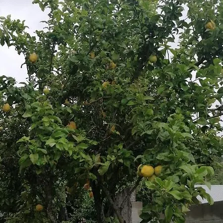 Casa Independiente Grandes Grupos Y Familias Сasa de vacaciones Valeixe